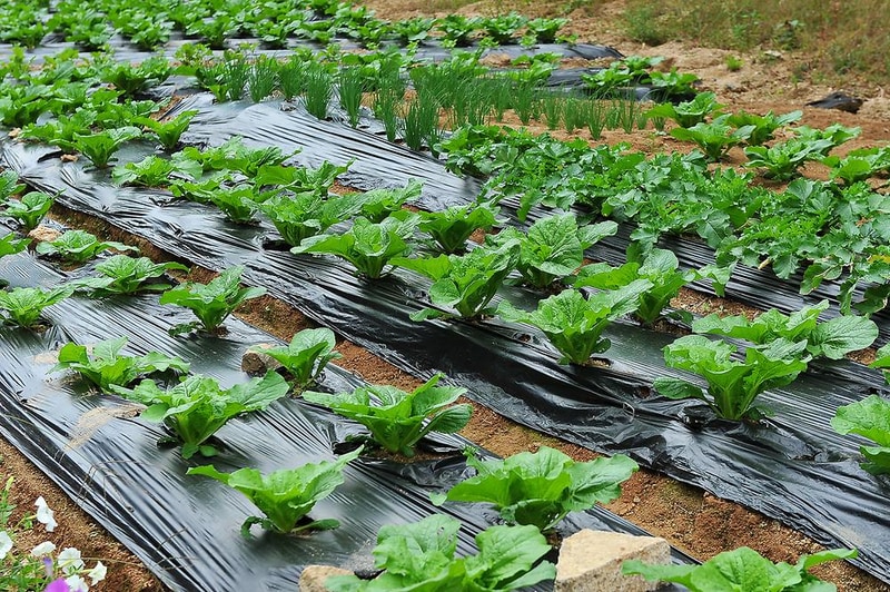 소도캠핑장 시설 사진 5