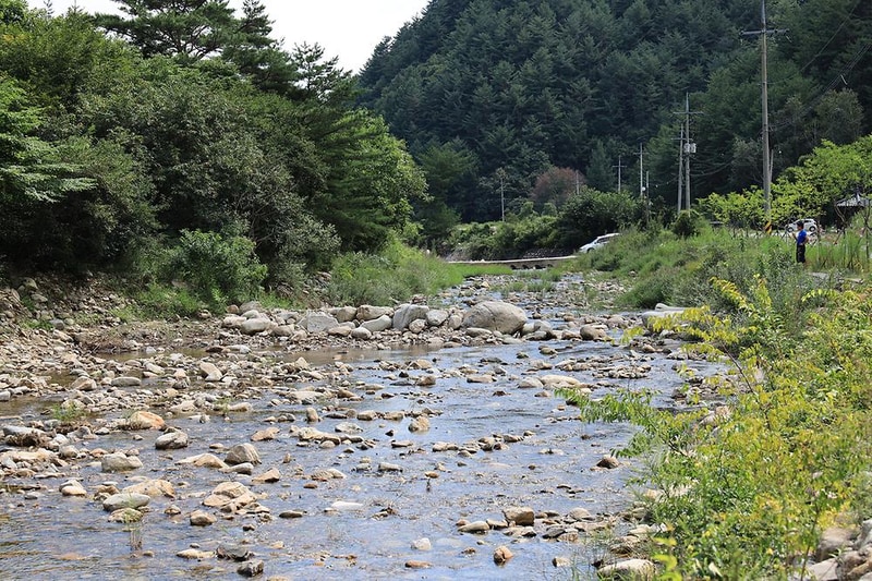 봉화솔향가득서울캠핑장 시설 사진 2