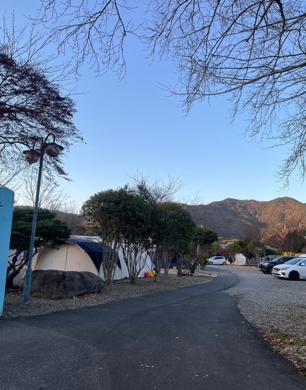 아이들과 가기 좋은 고성 잔디 캠핑장