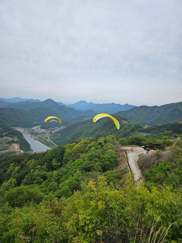 [충북 단양] 한스빌리지 캠핑장(with. 카페산)