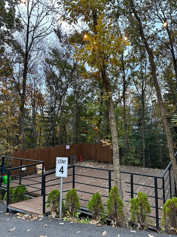 가평 블루문캠핑장(25.11.1~2)with반려견하루