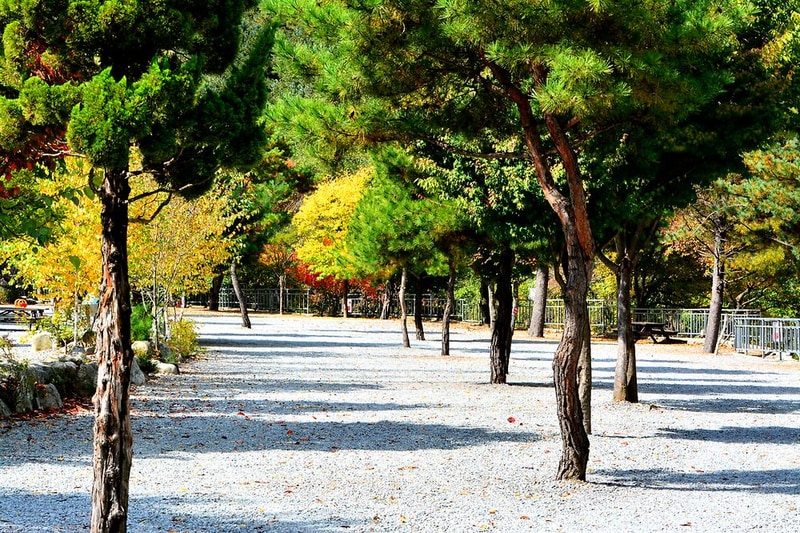 또올래캠핑장 시설 사진 10