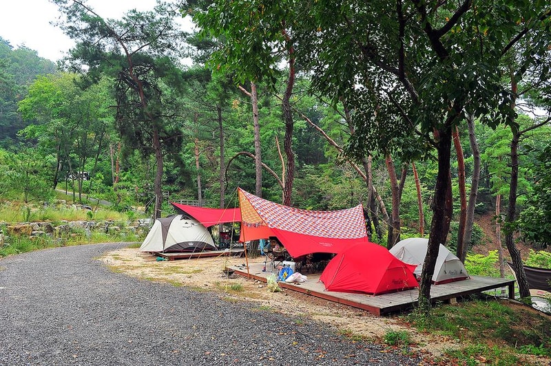 청담 관광농원 시설 사진 10