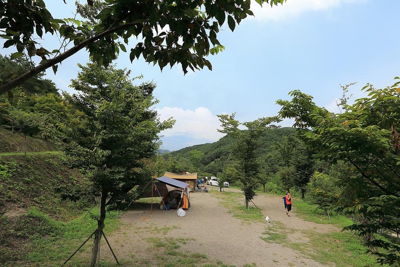 트리독스 애견전용캠핑장 시설 사진 9