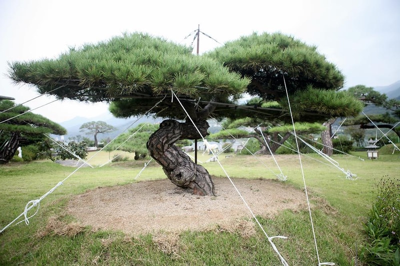 카라반2696 시설 사진 8