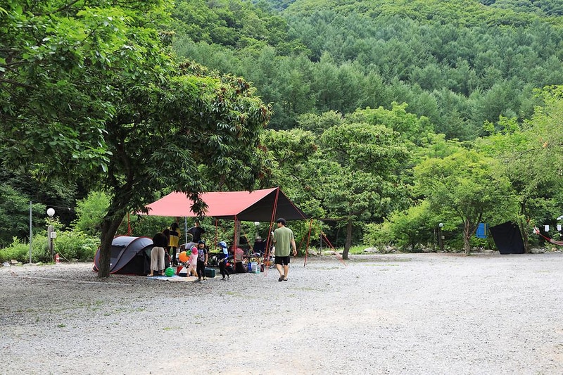 별천지야영장 시설 사진 11