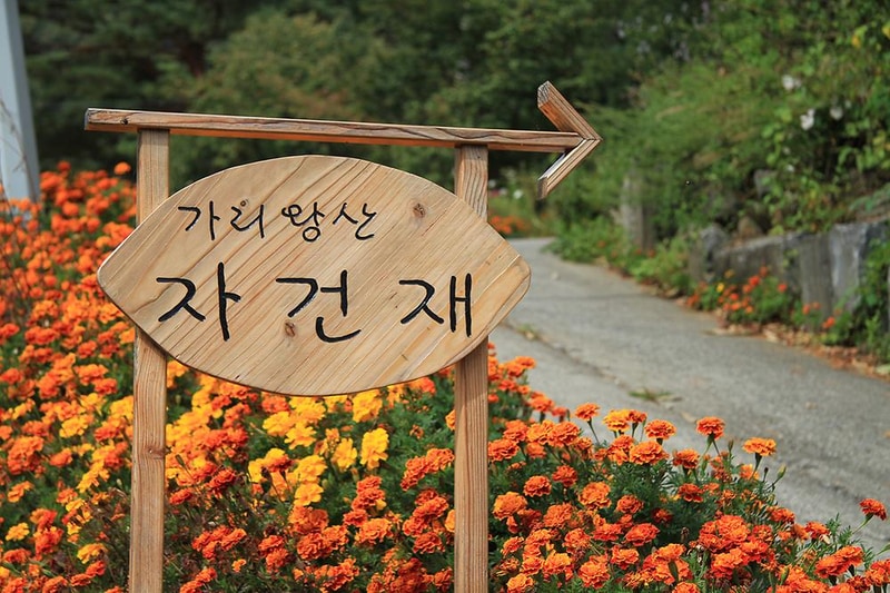 가리왕산 자건재 시설 사진 13