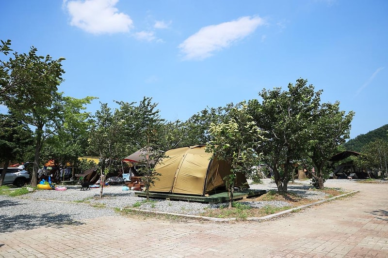 양양 고인돌 캠핑장 시설 사진 19