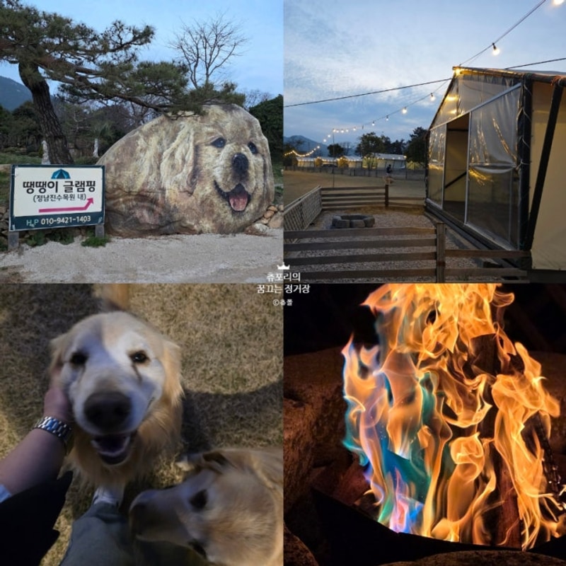 전남 장흥 캠핑장 땡땡이글램핑 프리미엄 숙박 후기