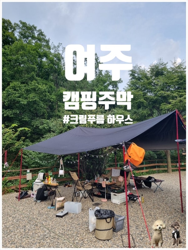 강아지 동반 캠핑, 여주 캠핑 주막에서 시원한 계곡 여행