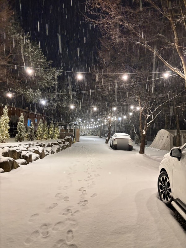 죠슈네 13번째 캠핑 영월 온수 수영장 느티나무캠핑장  폭설로...