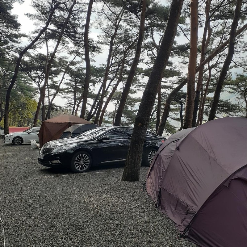 섬지캠핑장 시설 사진 20