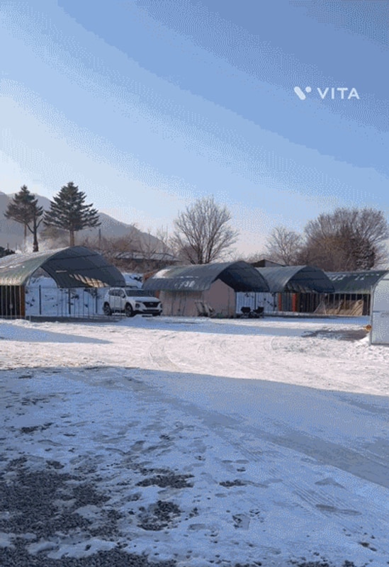 3.물멍캠프.폴라리스p1컴팩트