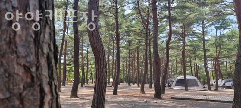 양양숙소 양양캠프장  2025 최신 양양가볼만한곳 숙소 정보