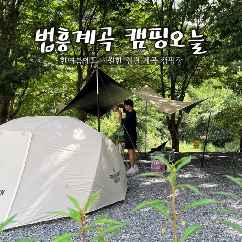 법흥계곡 캠핑오늘 영월 시원한 계곡 캠핑장 나만 알고 싶은...