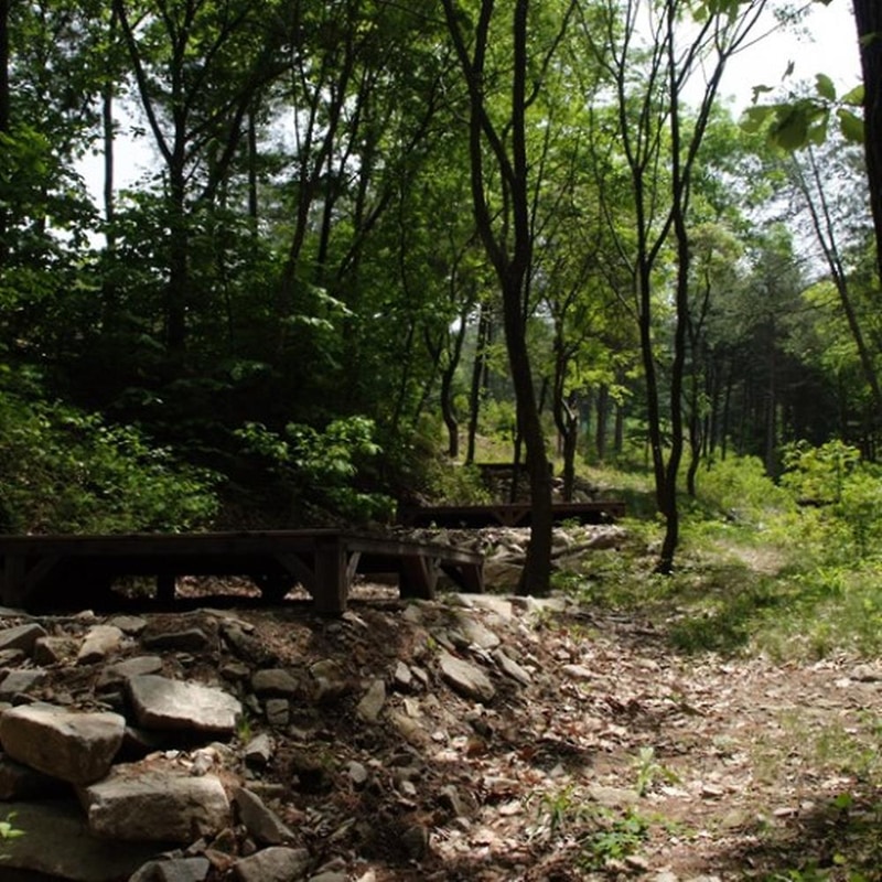 양평 다목적캠핑장 시설 사진 27