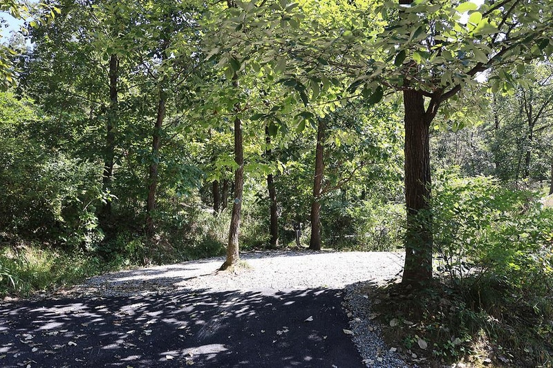 춘천 더숲 캠핑장 시설 사진 24