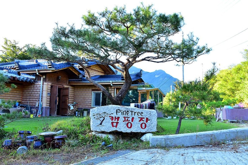 파인트리 캠핑장 시설 사진 14