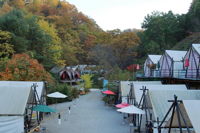 하늘숲캠핑장 시설 사진 6