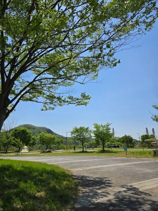 대전 근교 세종 합강 오토캠핑장 리뉴얼 후 방문해보아따