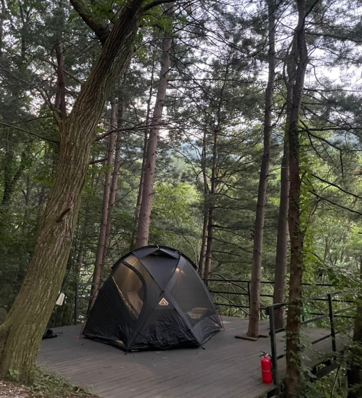 서울근교 가평계곡캠핑장 "호명산캠프" T데크사이트 명당 추천