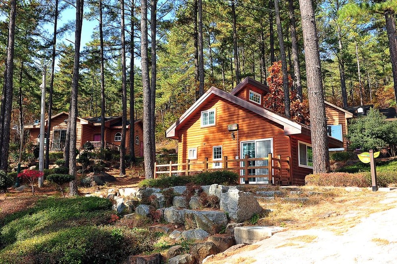 백운산 자연휴양림 자동차야영장 시설 사진 10