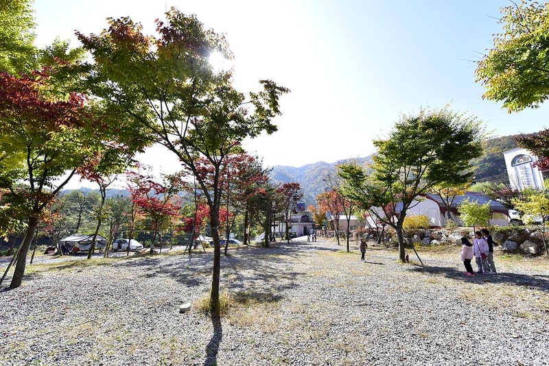 힐링가평오토캠핑장 시설 사진 13