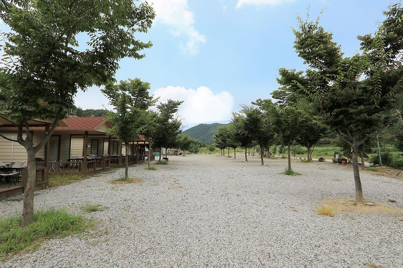 성주자연오토캠핑장 시설 사진 12