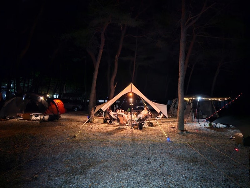 알마센 가우디움 나이트 (충북 괴산캠핑장 추천 후평숲캠핑장)