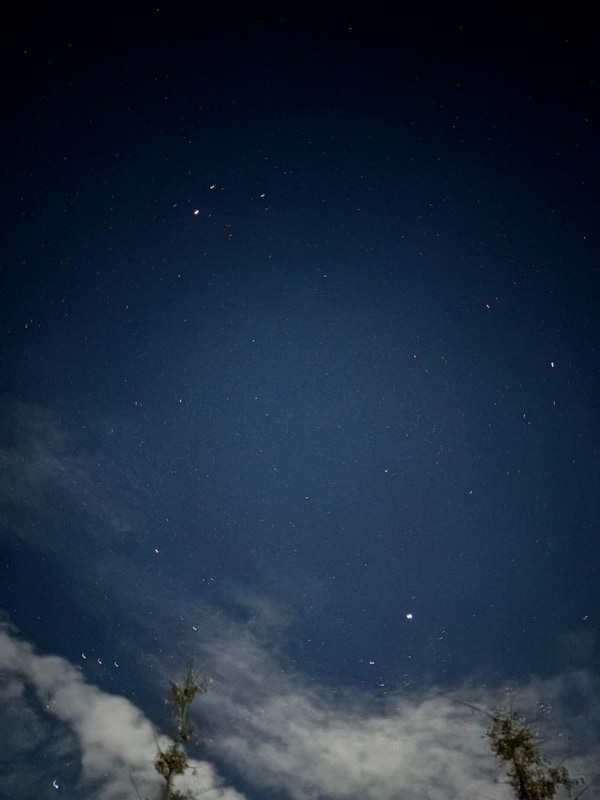 [충주 캠핑] ️탄금호야영장️ 후기
