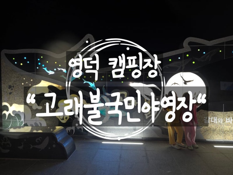 경북 영덕 아이와 함께 가기 좋은 캠핑장 고래불국민야영장