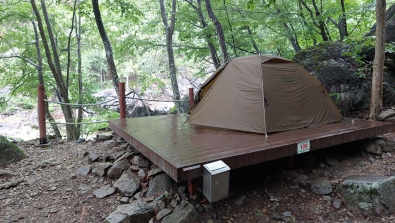 울주 신불산 자연휴양림 솔캠(25.7.16~17)