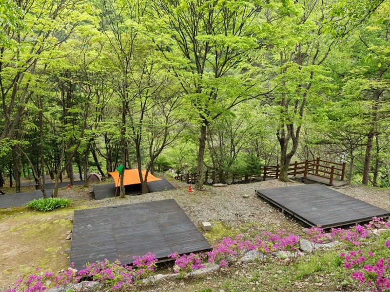 홍천 가리산자연휴양림 야영장