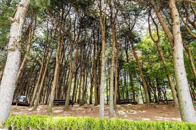 독립기념관 캠핑장 시설 사진 20