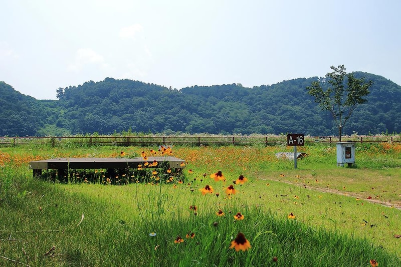 청양 동강리 오토캠핑장 시설 사진 1