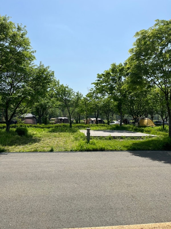 5월 3~5일 황금연휴 금산 인삼골오토캠핑장 (D6)후기와 명당...