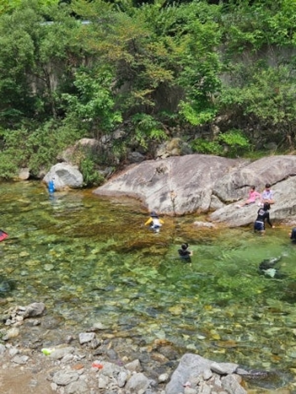 [가평 또올래 캠핑장] 여름휴가 가족캠핑 후기! 계곡 다슬기...