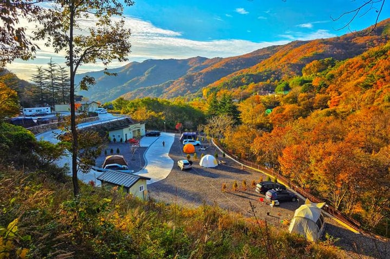 서진이네 오토캠핑장 대표 사진