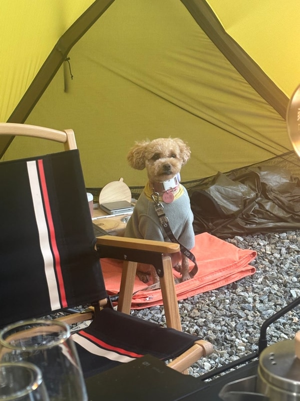 [횡성 월현포레스트] 초대캠은 항상 이곳에서 하면 실패없다!