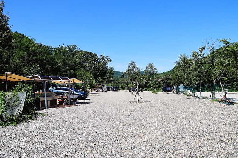 삼척안뜰캠핑장 시설 사진 6