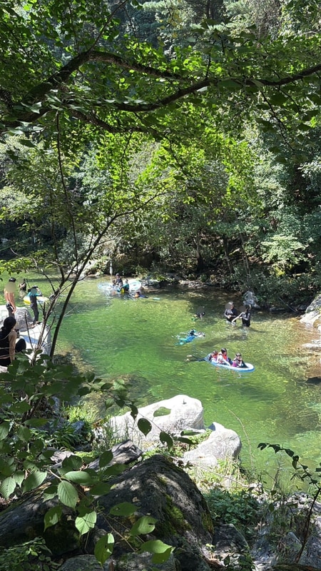 가평 자우림캠핑장 A2 서울 근교 다이빙 가능한 계곡 펜션...
