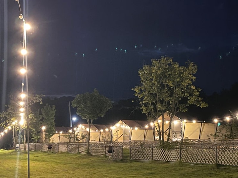 전남애견글램핑 추천, 장흥 땡땡이글램핑 프리미엄9동...