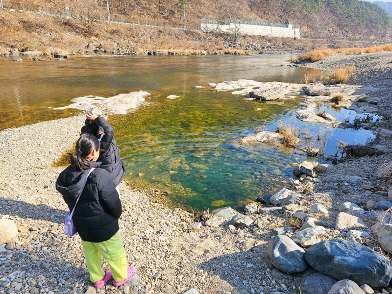 전북 여행 캠핑장 임실 오토캠핑장 차박 가능한 계곡 강변사리...