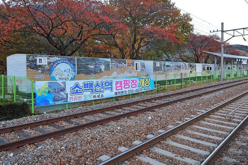 영주시 소백산역 캠핑장 시설 사진 12