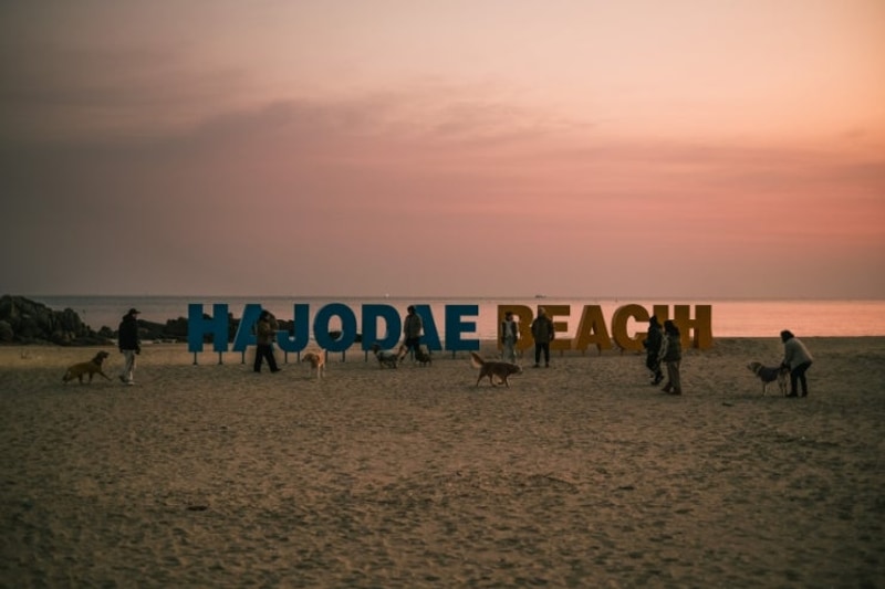 부라보캠프 오픈식 누룽지네 캠핑 - 브이로그를 시작하게 된...