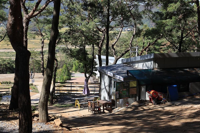 강화도 아침 숲속야영장 시설 사진 19