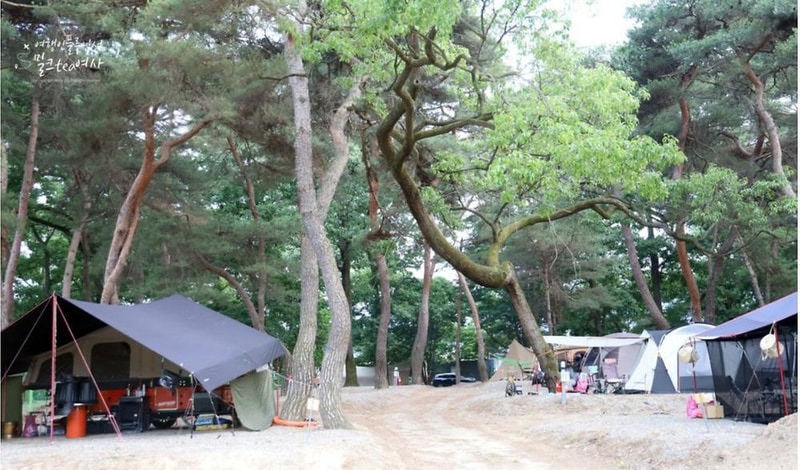 후평숲캠핑장 시설 사진 2