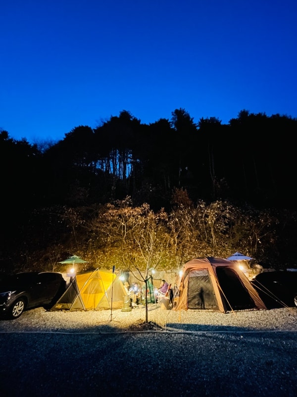 [홍천 대룡산 오토캠핑장] 개인 개수대가 편리한 별이 쏟아지는...