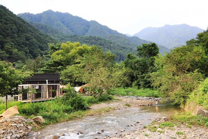 우니메이카 대표 사진