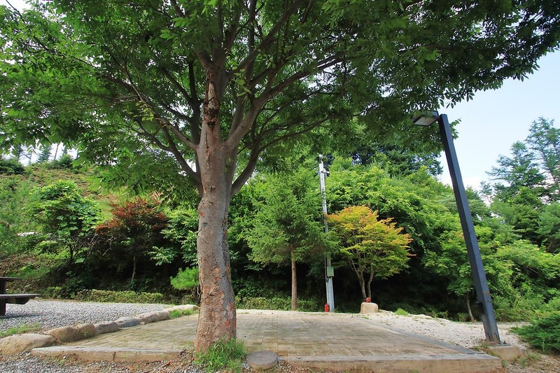 씨앗골캠핑장 시설 사진 1